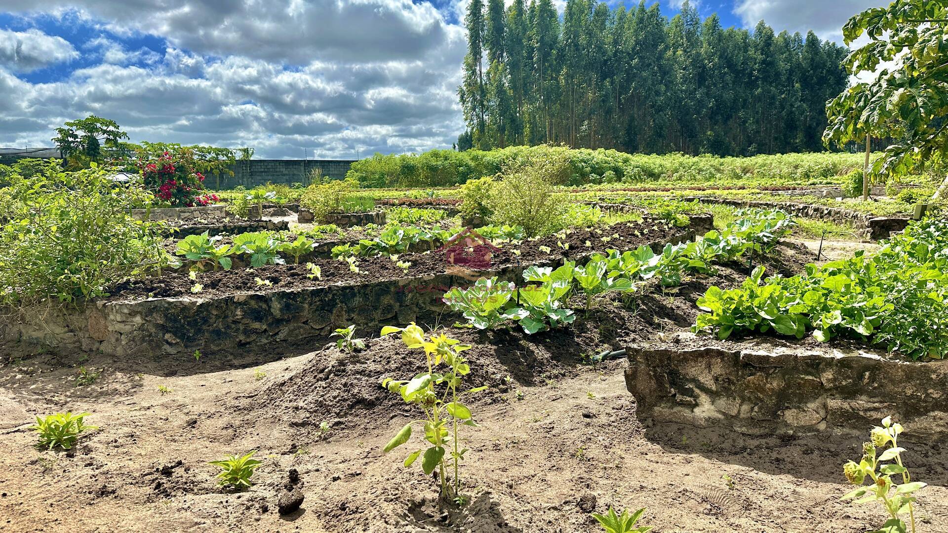 Terreno à venda - Foto 18