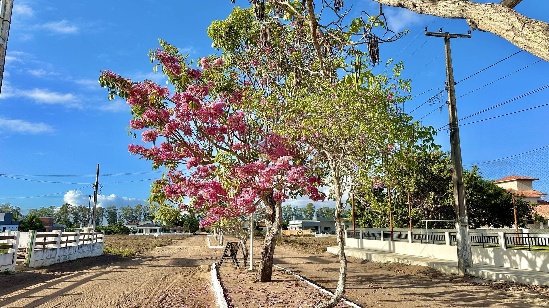 Terreno à venda, 600m² - Foto 1